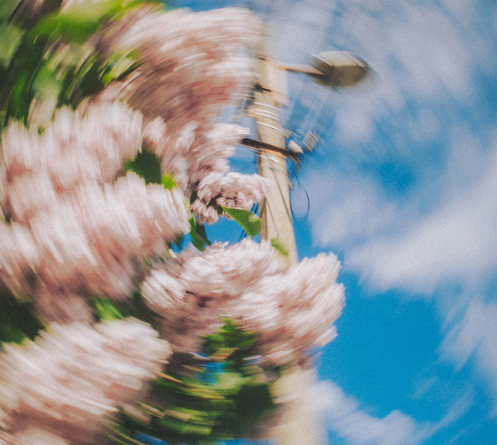 Dreamy motion-blurred flowers and a bicycle